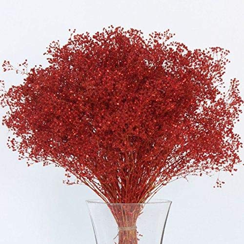 Gypsophilia Sparkle - Christmas Decor