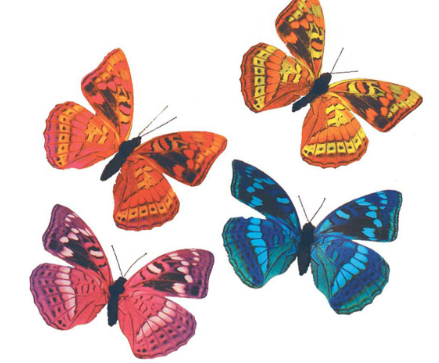 Butterflies