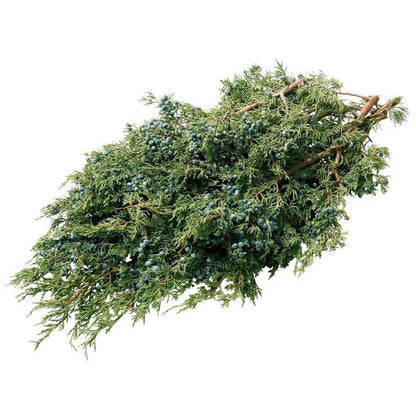 Live Christmas Bulk Greens