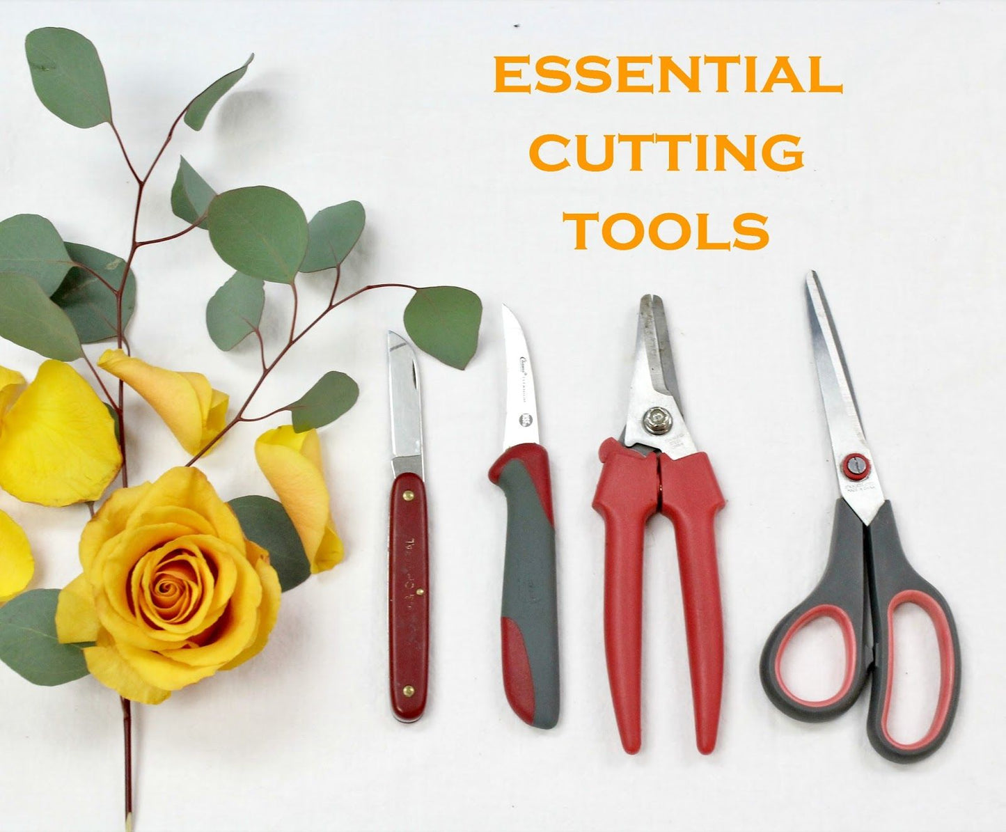 Florist Tools