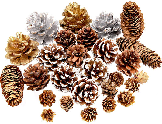 Pine Cones